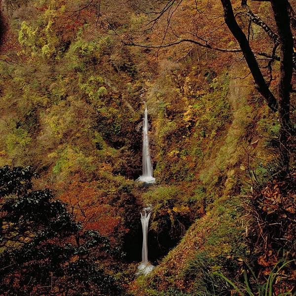 鳥取紅葉秘境 Toripy帶你遊鳥取 痞客邦 鳥取紅葉秘境 Toripy帶你遊鳥取 痞客邦
