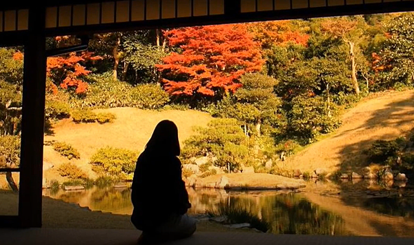 建物から庭の風景