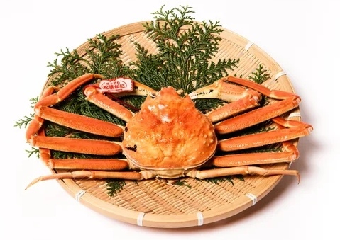 松葉蟹