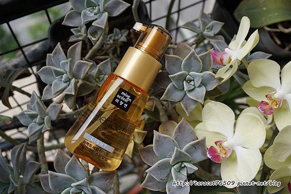 mise en scene 染燙受損玫瑰精華護髮油 Light 輕盈版.jpg mise en scene 染燙受損玫瑰精華護髮油 Light 輕盈版.jpg