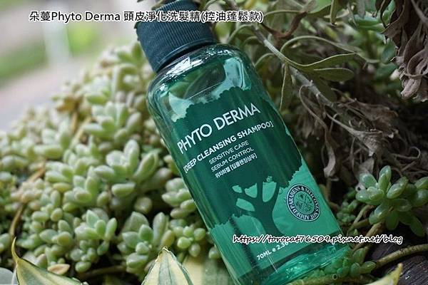 朵蔓Phyto Derma 頭皮淨化洗髮精(控油蓬鬆款).jpg