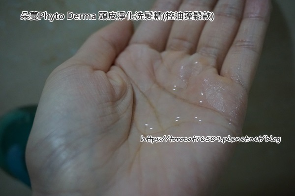朵蔓Phyto Derma 頭皮淨化洗髮精(控油蓬鬆款)-內容物.jpg