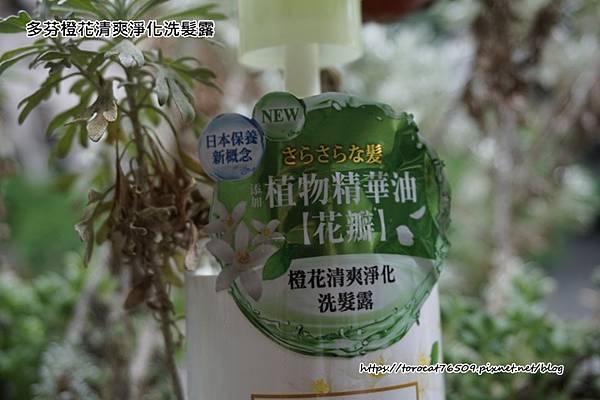 多芬橙花清爽淨化洗髮露2.jpg