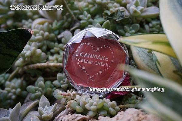 CANMAKE 腮紅霜-16-1.jpg