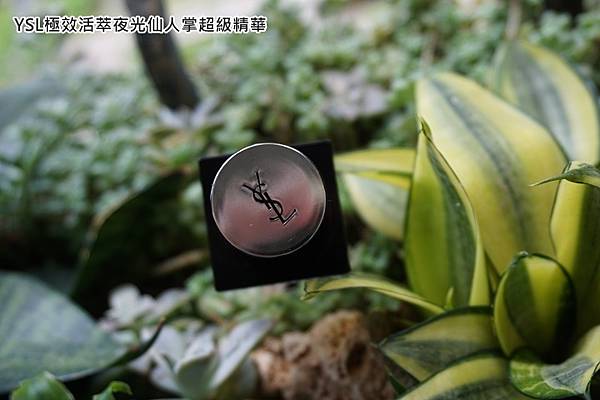 YSL極效活萃夜光仙人掌超級精華-產品設計.jpg