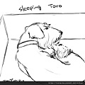 SLEEPING TORO.jpg