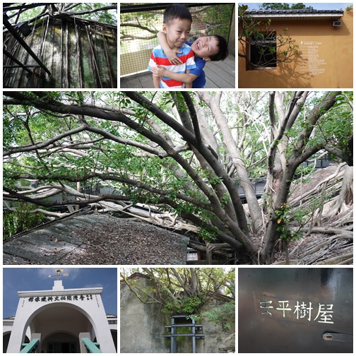 台南。安平樹屋 台南。安平樹屋