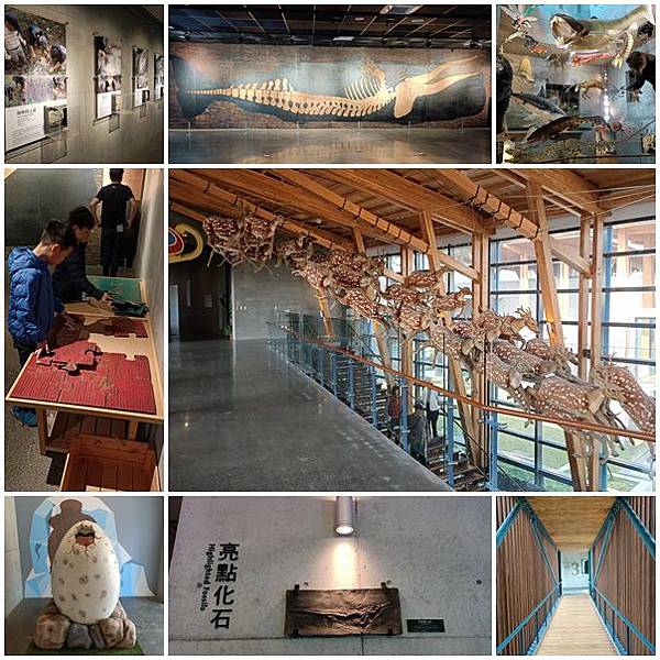 左鎮化石園區.jpg 左鎮化石園區.jpg