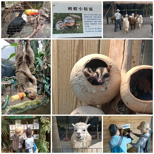 綠世界10.jpg 綠世界10.jpg