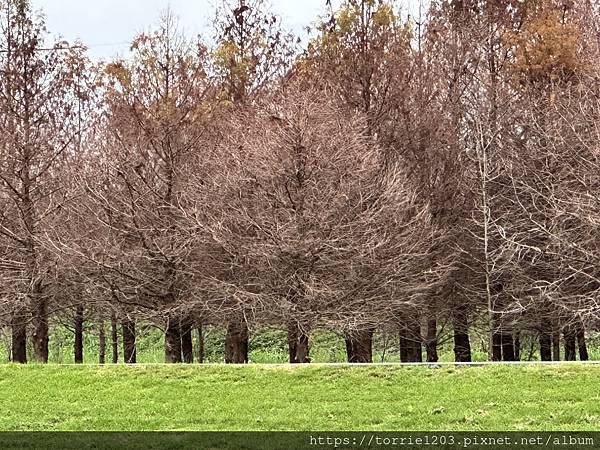 |景。宜蘭|冬山鄉安農溪分洪堰自然生態園區