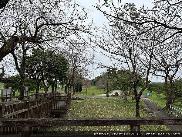 |景。宜蘭|冬山鄉安農溪分洪堰自然生態園區