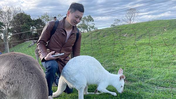 【澳洲自由行10天攻略】雪梨、墨爾本行程規劃＋必知7件事懶人