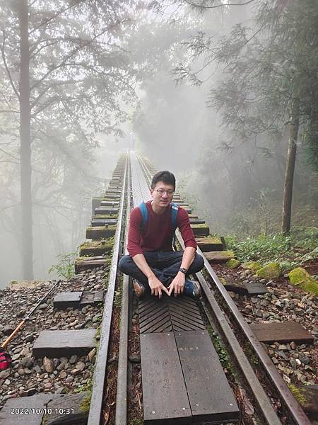 阿里山秘境之旅：眠月線+迷糊步道的行程與旅遊心得