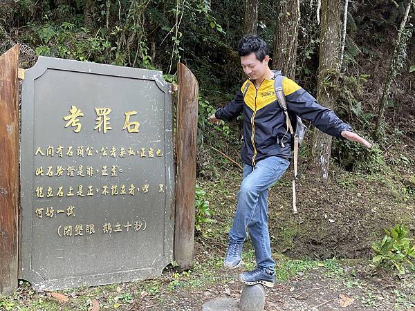 忘憂森林與杉林溪3天2夜：自然秘境與行程規劃全攻略