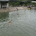 080828愛狗 (24).JPG