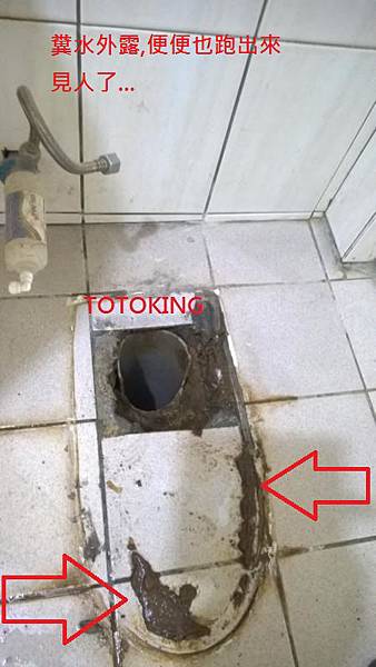 WP_20160301_016 WP_20160301_016