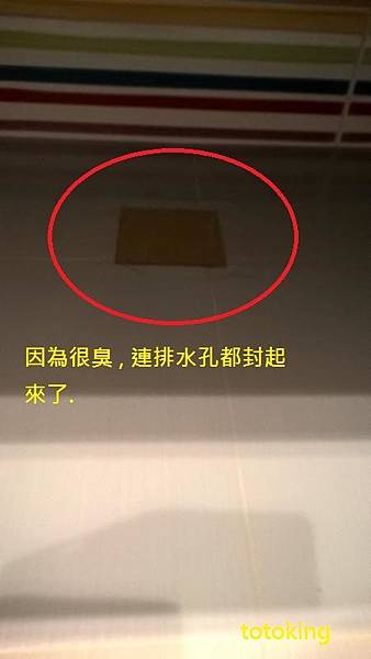 廁所臭味cw981臭氣toto馬桶cw981臭乾式馬桶臭馬桶重裝toto馬桶裝錯toto師傅安裝toto 新店翁先生實例totoking專業安裝 Totoking 廁所臭味cw981臭氣toto馬桶cw981臭乾式馬桶臭馬桶重裝toto馬桶裝錯toto師傅安裝toto 新店翁先生實例totoking專業安裝 Totoking