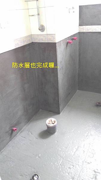 201605194 201605194