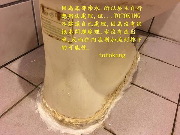 IMG_3521 IMG_3521