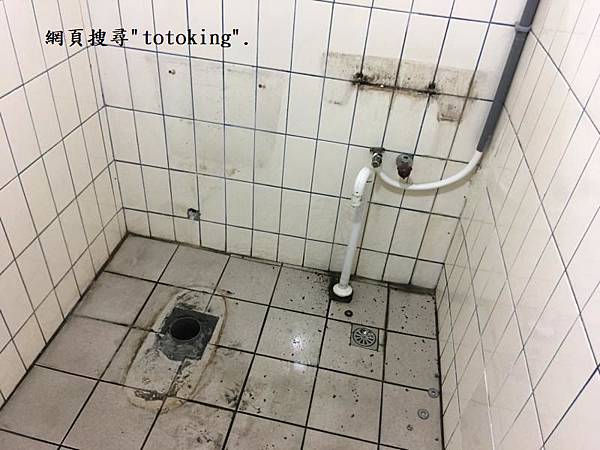 IMG_4965 IMG_4965