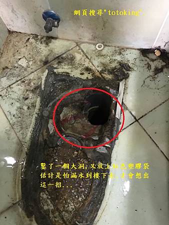 IMG_6999.JPG IMG_6999.JPG