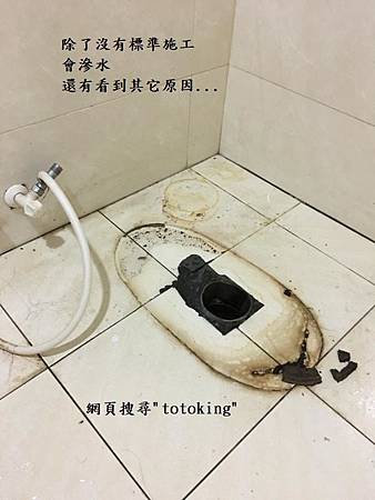 IMG_7441.JPG IMG_7441.JPG