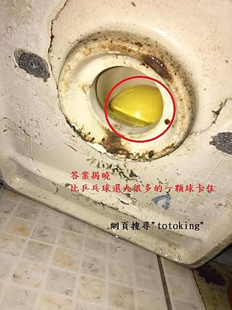 201809134.jpg 201809134.jpg