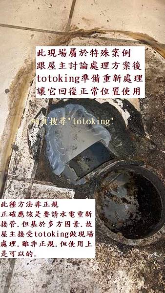 CW288SGUR TOTO單體馬桶 TOTO好用單體馬桶 