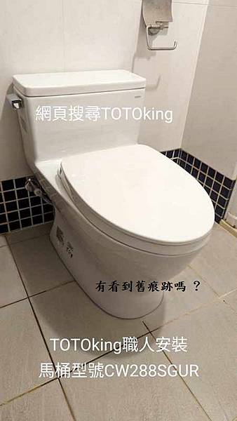 CW288SGUR TOTO TOTO安装 TOTO马桶问题