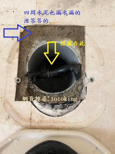 S__3317989_0.jpg
