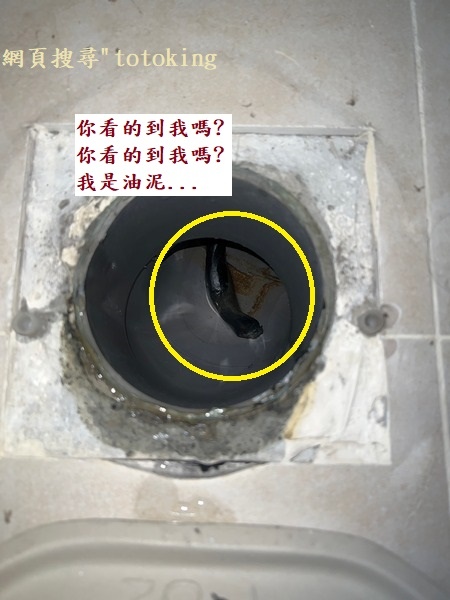 S__3318006_0.jpg