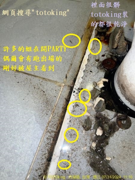 TOTO CW260水龍捲馬桶 高水箱馬桶 歐規背給水馬桶 