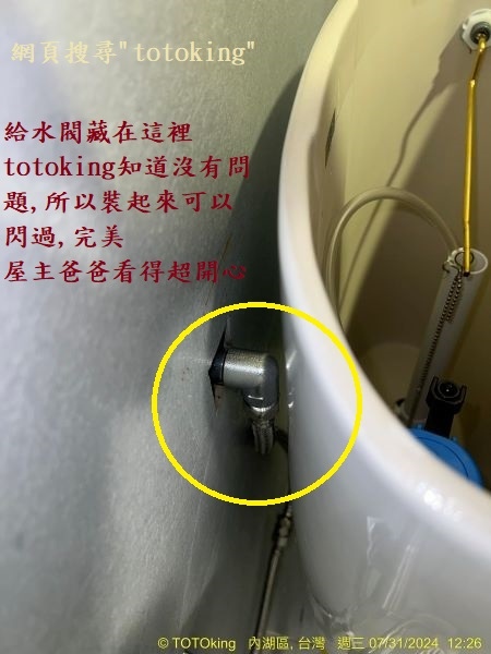 TOTO CW260水龍捲馬桶 高水箱馬桶 歐規背給水馬桶 