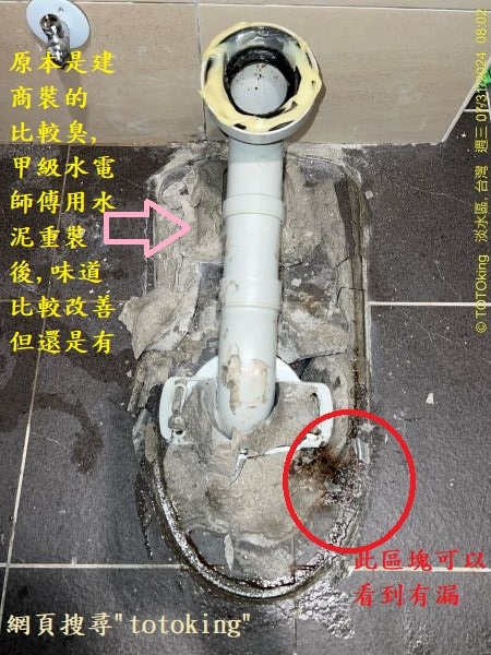 CW288單體馬桶 溫水洗淨便座 衛洗麗 免治馬桶 馬桶沒裝