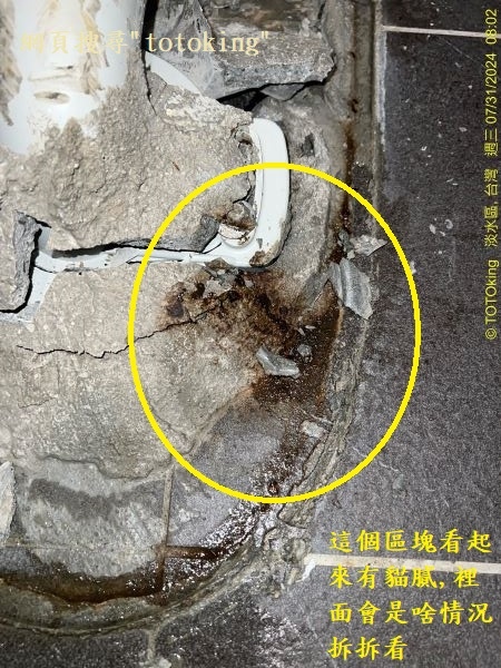 CW288單體馬桶 溫水洗淨便座 衛洗麗 免治馬桶 馬桶沒裝