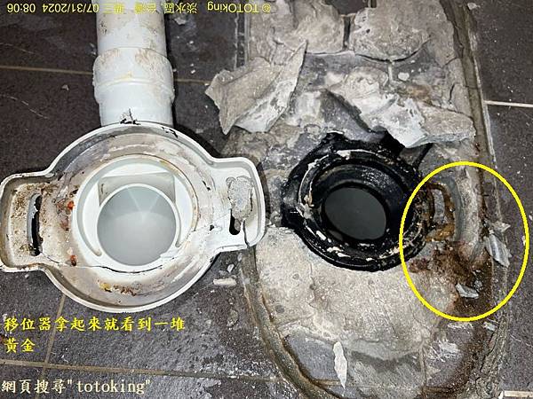 CW288單體馬桶 溫水洗淨便座 衛洗麗 免治馬桶 馬桶沒裝