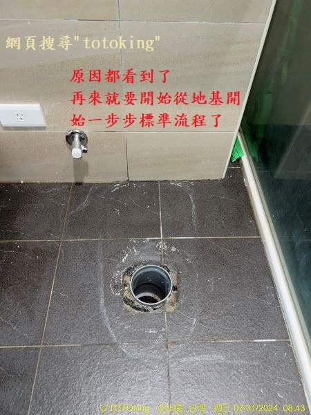 CW288單體馬桶 溫水洗淨便座 衛洗麗 免治馬桶 馬桶沒裝