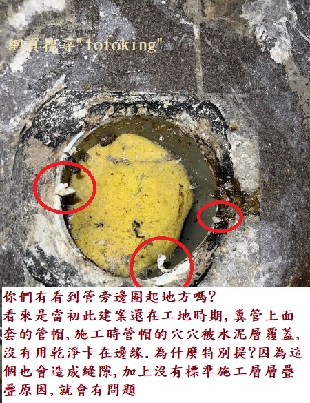 CW288單體馬桶 溫水洗淨便座 衛洗麗 免治馬桶 馬桶沒裝