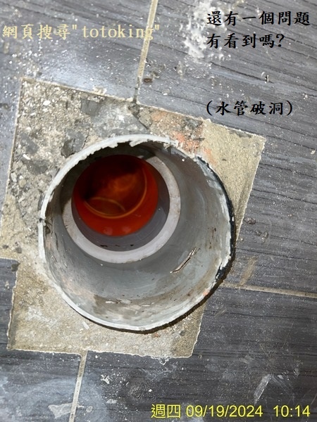 S__4169735_0.jpg