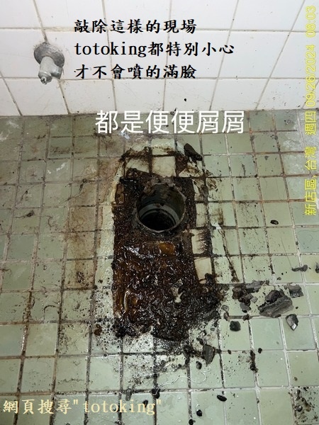 CW889 上龍捲馬桶 上龍捲噴射馬桶 TOTO單體上龍捲 