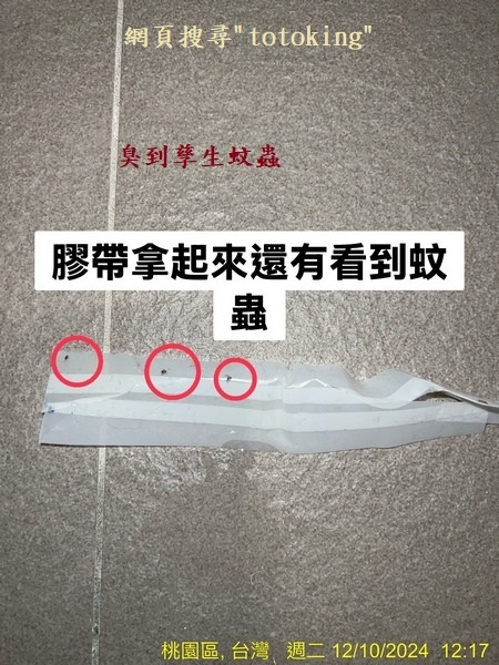 S__5038206_0.jpg
