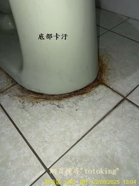 CW288單體馬桶 好用單體馬桶 馬桶推薦 馬桶管距 TOT