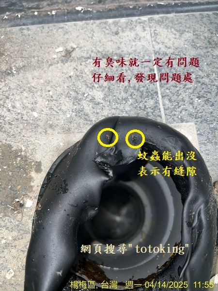 S__6578228_0.jpg