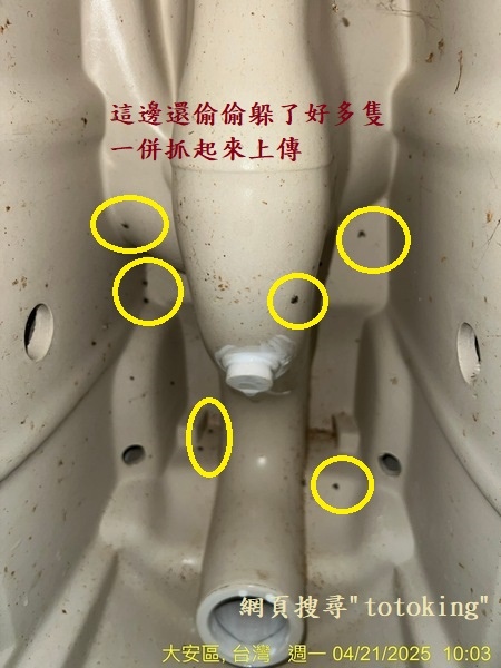 S__6766688_0.jpg