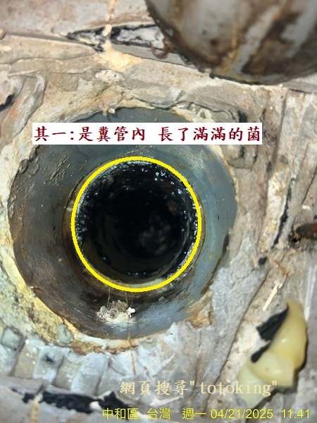 馬痛沒裝好 馬桶臭 TOTO馬桶臭味 馬桶問題 浴室臭 馬桶