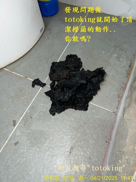 馬痛沒裝好 馬桶臭 TOTO馬桶臭味 馬桶問題 浴室臭 馬桶