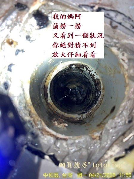 馬痛沒裝好 馬桶臭 TOTO馬桶臭味 馬桶問題 浴室臭 馬桶