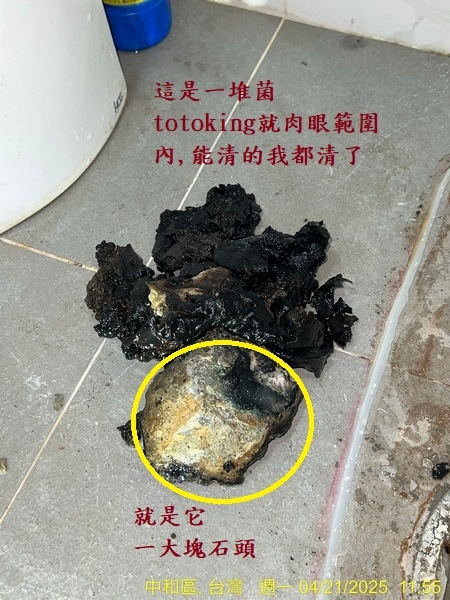 馬痛沒裝好 馬桶臭 TOTO馬桶臭味 馬桶問題 浴室臭 馬桶