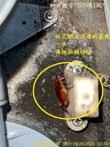 S__7790649_0.jpg