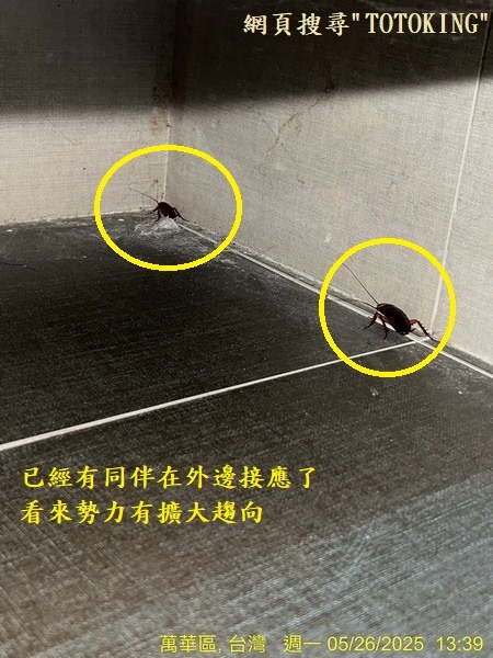 S__7790650_0.jpg